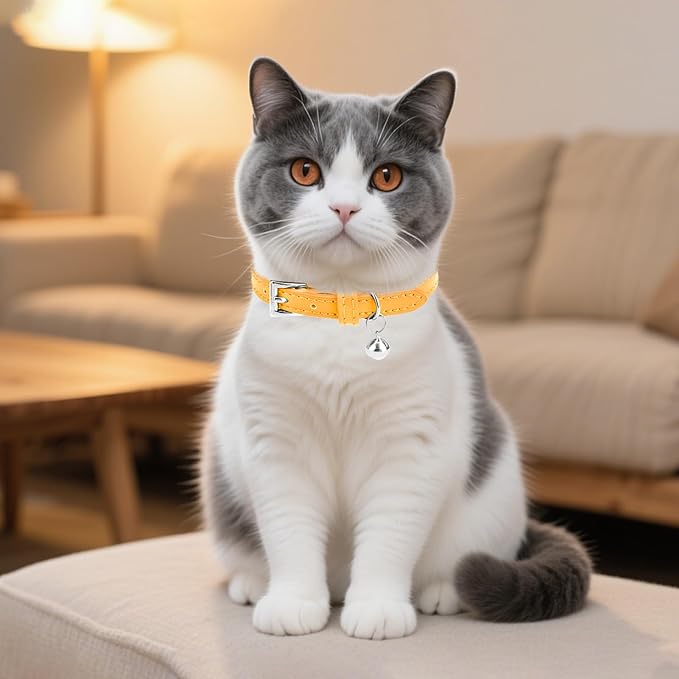PUPTECK 2 PCS Soft Genuine Leather Cat Kitten Collar with Bells Adjustable for Girl Boy Cats Puppy - Yellow, Teal
