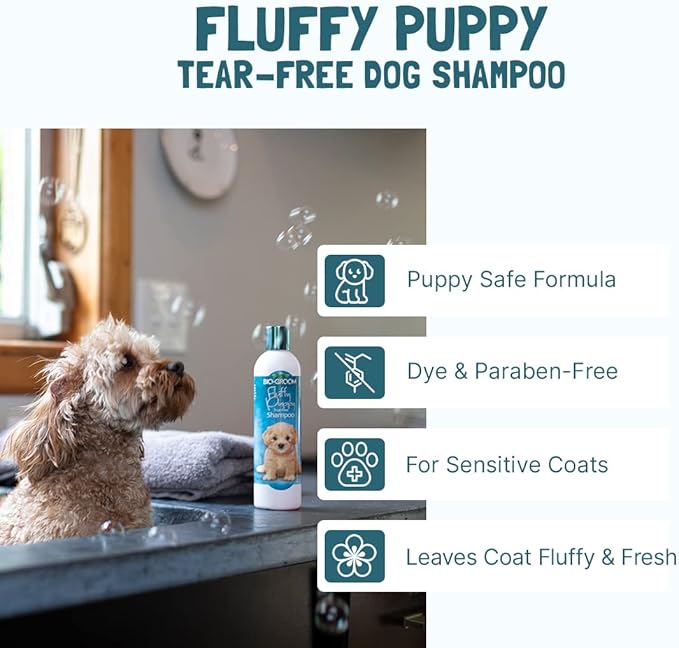 Bio-Groom Dog Shampoo and Conditioner Set - Tearless Shampoo for Dogs, Puppies & Cats, Moisturizing Conditioner for Dry Skin - Silk Conditioning Creme Rinse & Tear Free Shampoo, 12 Fl Oz Each (1 Set)