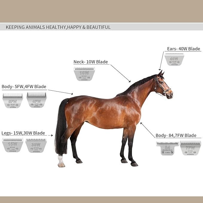 Size 10W/7FW/5FW/4FW Detachable Dog,Cat,Sheep & Horse Grooming Wide Blades Set,Compatible with Andis,Oster A5,Wahl KM10 Series Clippers,Cut Length 1/16"(1.5mm) to 3/8”(9.5mm),4 Pack