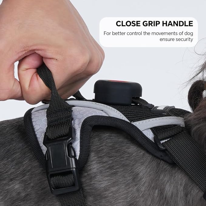 Cat Harness Leash Set with AirTag Holder, Upgraded Escape Proof Vest with Lead for Cat Kitten Small Dog Puppy Outdoor Walking, Soft Breathable Mesh Jacket with Reflective Strip (Black, M)