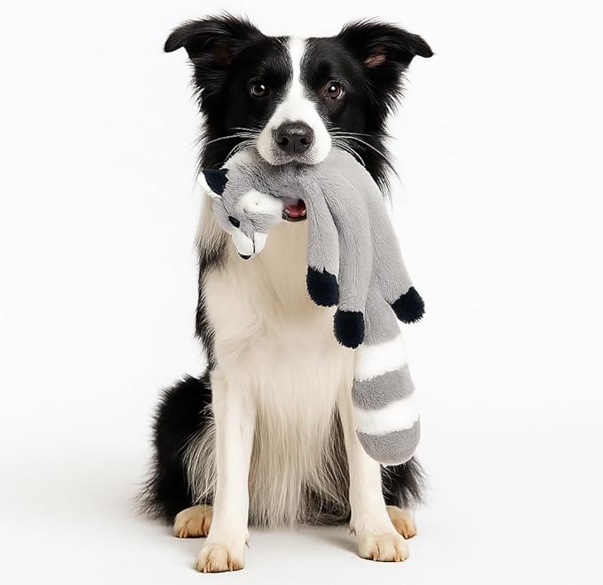 Squeaky Plush No-Stuffing Dog Toys, 4-Pack Animal Set, Fox Tiger Skunk Raccoon, Small & Medium Dogs