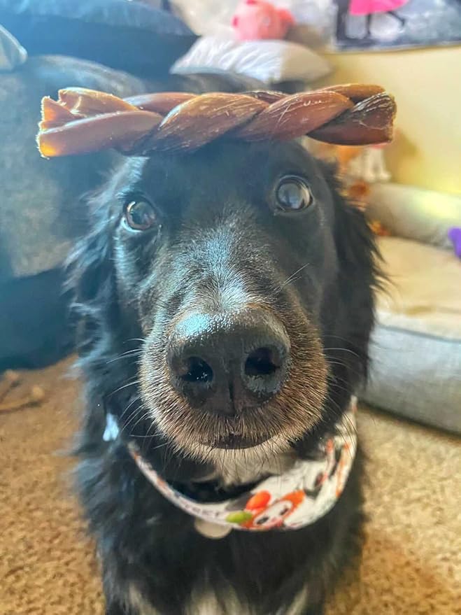 hotspot pets All-Natural Braided Beef Gullet Sticks (5 Pack) Grass-Fed, 6'' Braided Esophagus Jerky Treats - Rich in Glucosamine & Chondroitin for Joint Health – Rawhide-Free Dog Chews