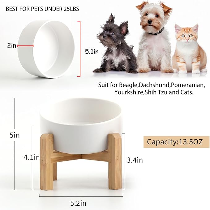 Petygooing White Raised/Elevated 15°Slanted Ceramic Dog Bowl for Small Breeds,Tilted Anti Slip Pet Feeding Bowl,Food Water Dish with Stand for Cats and Small Dogs Puppy 13.5 OZ (5.1In / 1.7 Cups)