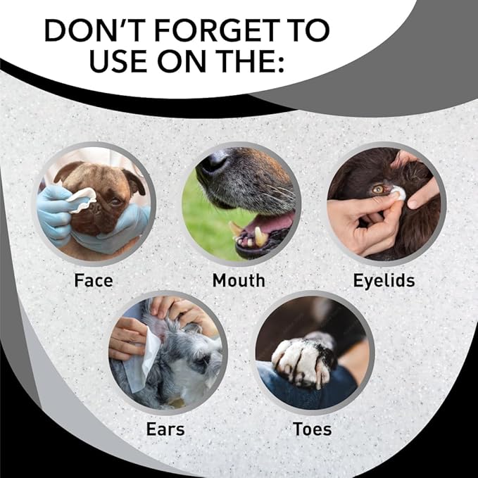 Odorcide Skunk Off Pet Shampoo – Ready to use Skunk Odor Remover for Dogs, Cats, Carpet, Car, Clothes & More – Skunk Shampoo Non-Enzymatic Formula (1 Gallon)