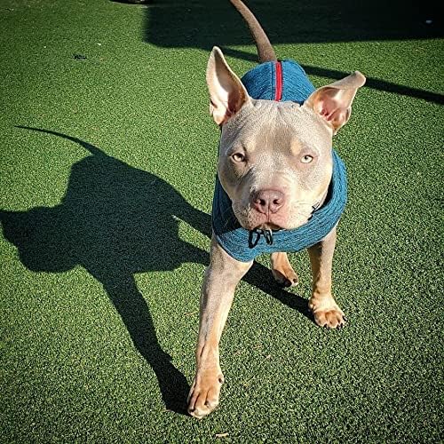 Gooby - Zip Up Fleece Vest, Fleece Jacket Sweater with Zipper Closure and Leash Ring, Fuchsia Wash, 2X-Large