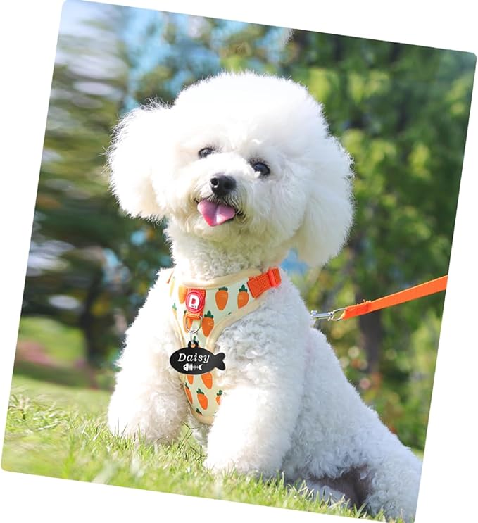 Stainless Steel Cat ID Tag Personalized Pet Tags with up to 4 Lines of Custom Text, Small Pet Mini Dog Cat Tag Lightweight, Engraved on Both Sides, Multiple Patterns Colors Size Options (Icon)