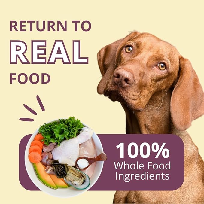 Steve's Real Food Freeze-Dried Raw Nuggets - Chicken Recipe - Raw Pet Food for Dogs and Cats - 20 oz