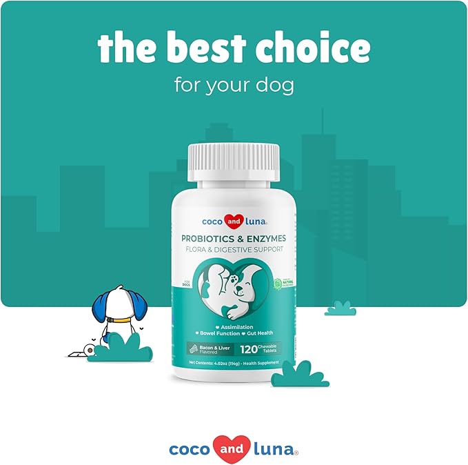 Probiotics for Dogs - 120 Chewable Tablets - Diarrhea & Gas Support - with Honey Pumpkin and Prebiotics for Dog Allergies, Bad Breath & Constipation Support