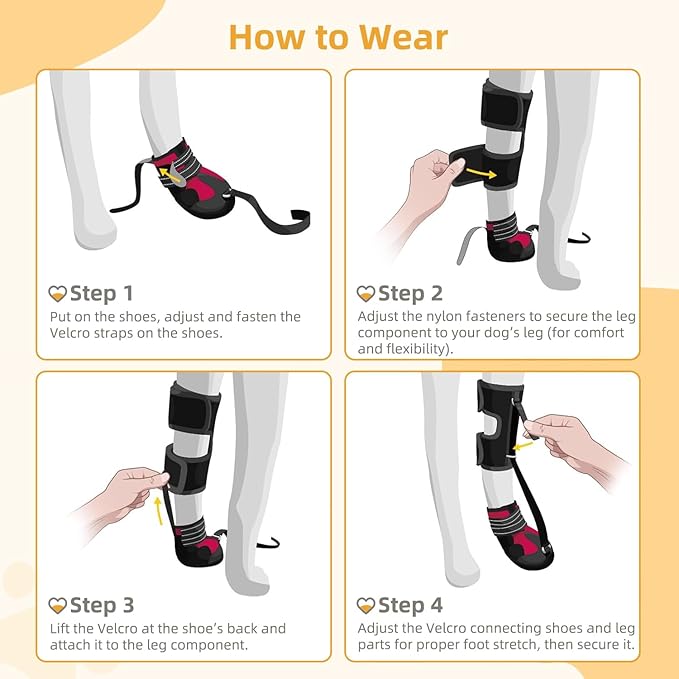 Dog Strap-On Drop Foot Orthotics (Knuckleless Boot Orthotics) – Dog Knee Pads,Corrective Dog Shoes That Safely Lift Toes, Relieve Foot Problems, Arthritis, and Improve Your Dog's gait (M)