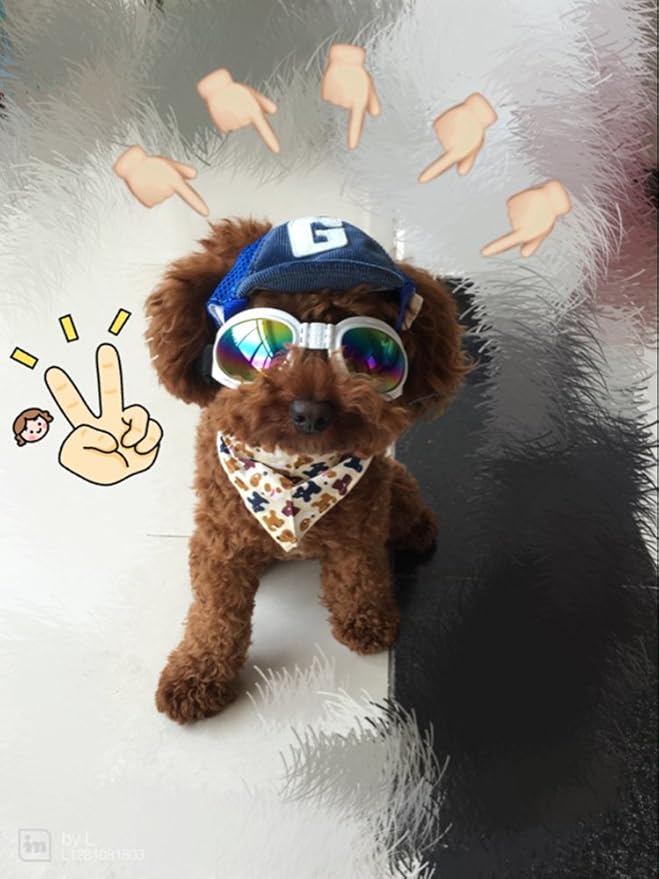 Pet Dog Baseball Cap Sport Cap Hat - Outdoor Hat Sun Protection Summer Cap for Small Medium Large Dog (Small Cap, Blue)