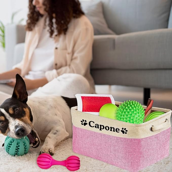 Custom Dog Toy Storage Basket with Dog's Name Sturdy Foldable Collapsible Cat Storage Bin with Handles for Organizing Pet Stuffs, Toys, Clothes,( Pink and White), 15" x 9.8" x 9"