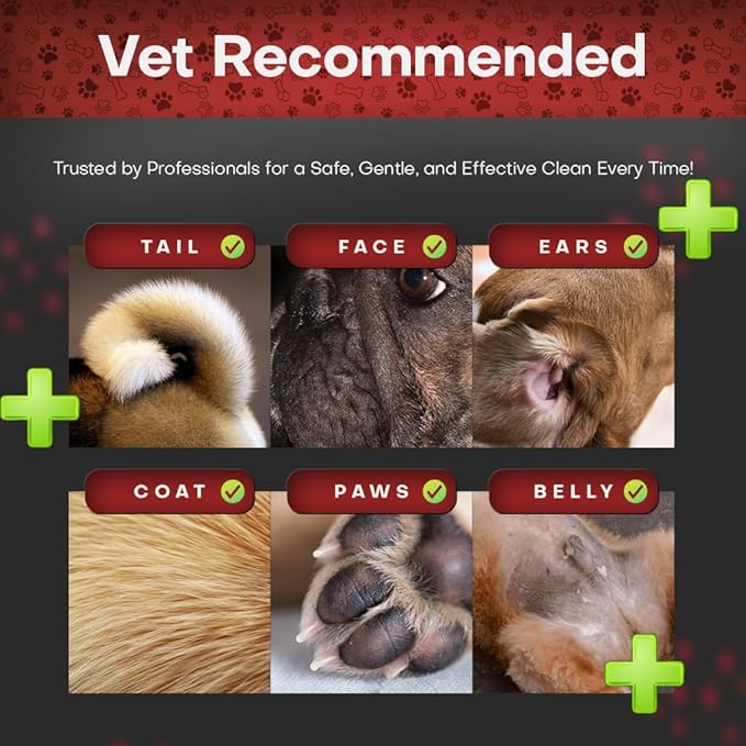 2% Chlorhexidine Wipes for Dogs 3X Larger | Yeast Infection Ringworm Fungus Hot Spot Itch Relief | Medicated Antibacterial Antifungal Gentle Soothing Topical Wipes for Dog Cat | 50 Wipes 5x6