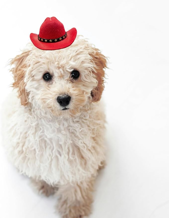 Dog Cowboy Hat Cat Cowboy Hat Pet Cowboy Costume Mini Cowboy Hat for Dogs Cat Holiday Halloween Pet Party Decoration (red, Small)