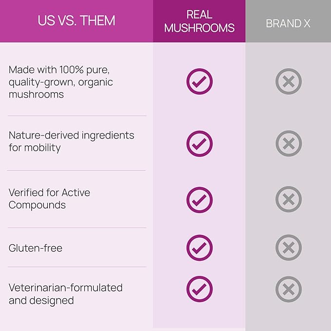 Real Mushrooms Mobility Chews for Dogs & Cats – Green Lipped Mussel & ErgoGold Mushroom Blend – Dogs & Cat Vitamins Treats for Active Routines – Joint, Hip & Flexibility Support – 240 ct Supplement