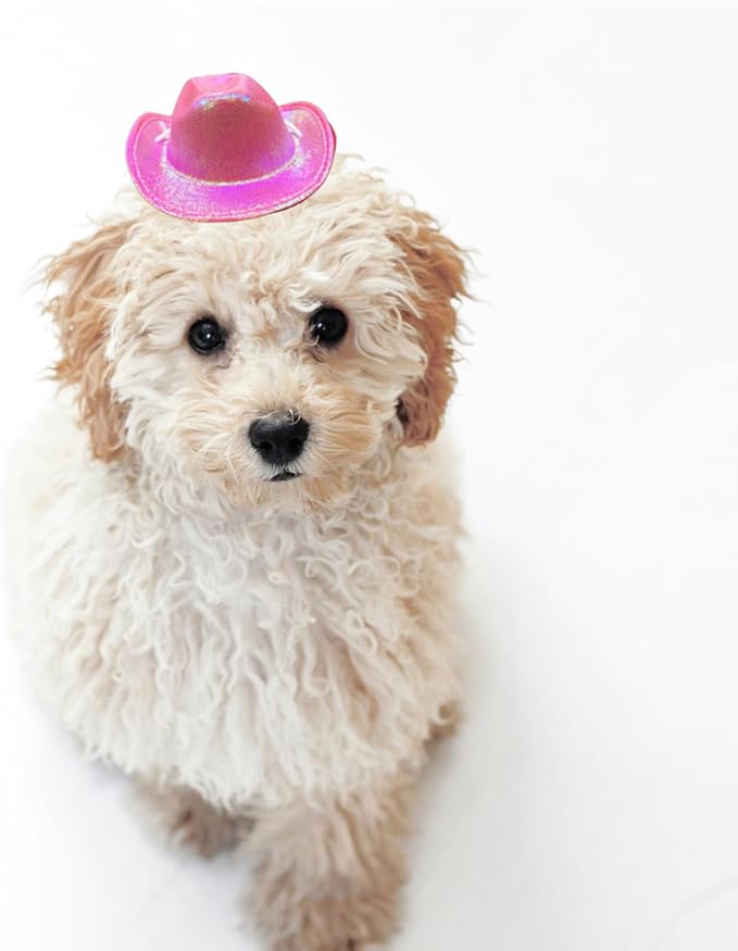 Dog Cowboy Hat Cat Cowboy Hat Pet Cowboy Costume Mini Cowboy Hat for Dogs Cat Holiday Halloween Pet Party Decoration (Pink-style2, Small)