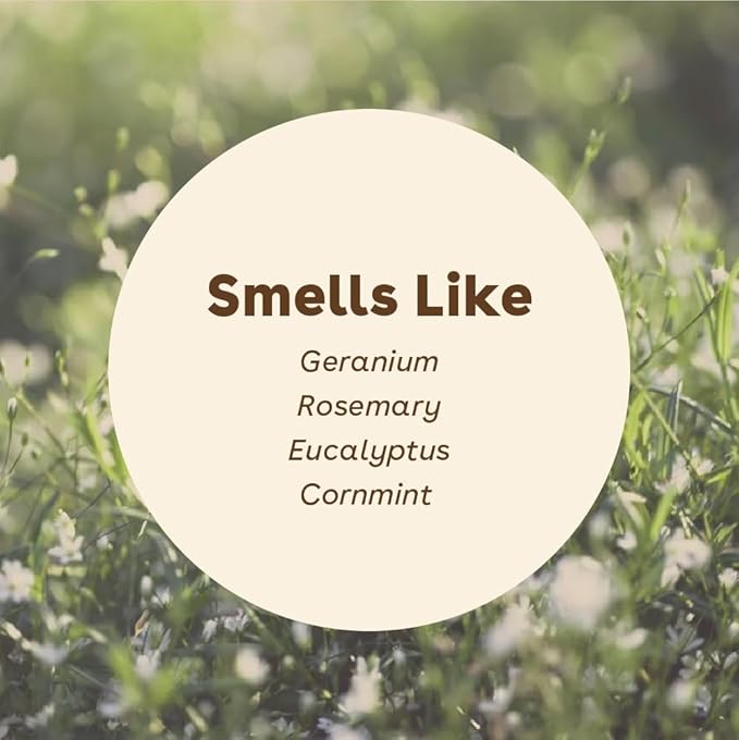 Pupford Sudsy Shampoo Bar for Dogs (Original)