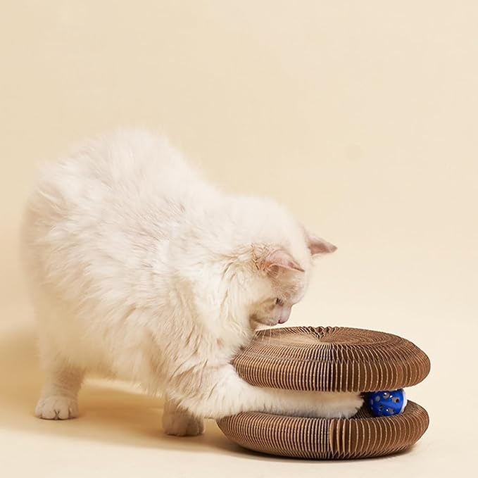 Kitty Curls Cat Toy Kurlz, Interactive Scratch Pad, Foldable Accordion,Recyclable Scratcher with Ball (Orange (Cat))
