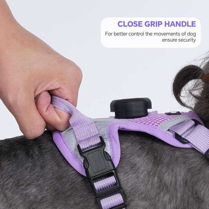 Cat Harness and Leash Set with AirTag Holder: Upgraded Escape Proof Vest with Lead for Small Dog Puppy Large Cat Walking，Soft Breathable Mesh Coat with Reflective Strip (Purple, S)