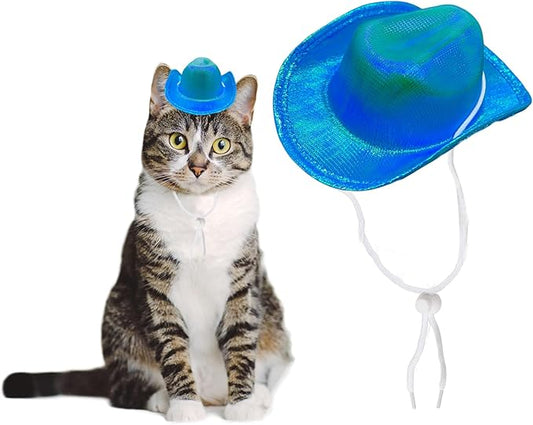Dog Cowboy Hat Cat Cowboy Hat Pet Cowboy Costume Mini Cowboy Hat for Dogs Cat Holiday Halloween Pet Party Decoration (Blue-style2, Small)