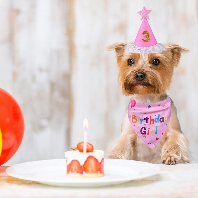 Dog Birthday Bandana Set, Dog Birthday Party Supplies, Puppy Boy Girl Birthday Party Hat with Numbers for X-Small, Small and Meidum Puppy (Pink)