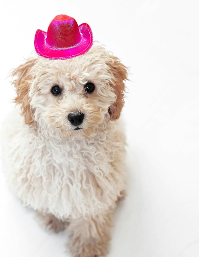 Dog Cowboy Hat Cat Cowboy Hat Pet Cowboy Costume Mini Cowboy Hat for Dogs Cat Holiday Halloween Pet Party Decoration (Rose red-style2, Small)