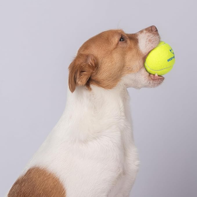 Best Pet Supplies Interactive Squeaky Dog Chew Toy, Ideal Dog Toys for Chewers, Small, Medium & Large Dogs, and Fetch Lovers - Tennis (Yellow), Large (Pack of 4)