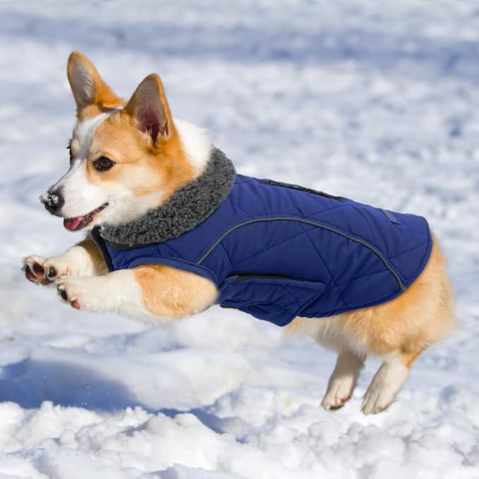 EMUST Dog Jackets, Small/Medium/Large Dog Coat for Winter, Pet Cold Winter Jacket for Large Dogs, Dark Blue, XL