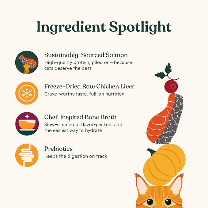 Made by Nacho Dry Cat Kibble 10lb Bag, High Protein Premium Cat Food with Freeze Dried Pieces, Sustainably-Caught Salmon, Whitefish & Pumpkin, Limited Ingredients, Single Bag