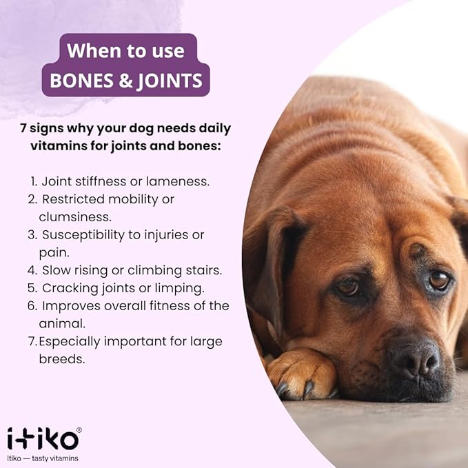 Bone and Joint Supplement for Dogs with Green-Lipped Mussel, MSM, Glucosamine, Chondroitin & Omega-3 | 100-120 PCS of Chews for All Breeds Size