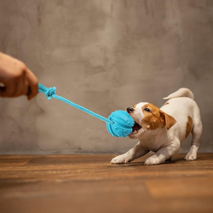 Dog Training Ball on Rope, 2Pcs Dog Rope Toys for Chew Training, Pull Throw and Fetch