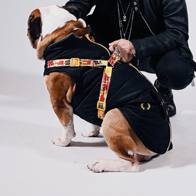 Generic Pawlook Dog Raincoat with Chest Leash and Collar, Reusable Waterproof Pet Coat for Small Dogs, Medium Dogs, Large Dogs (Black, Medium)