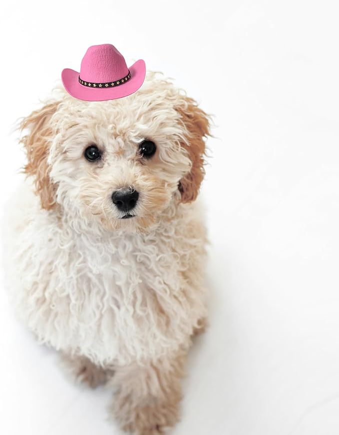 Dog Cowboy Hat Cat Cowboy Hat Pet Cowboy Costume Mini Cowboy Hat for Dogs Cat Holiday Halloween Pet Party Decoration (Pink, Small)