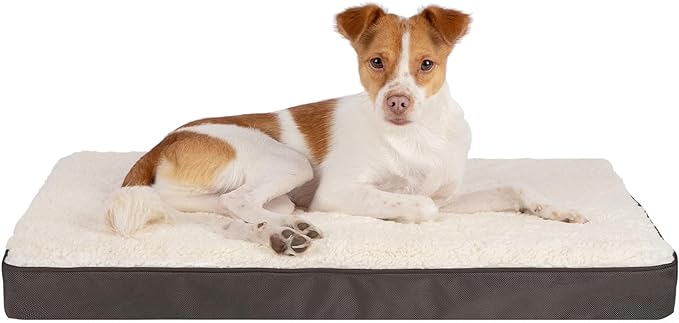 Best Pet Supplies Dog House Bed Crate Mat Tent Indoor Round Soft Plush for Small, Medium, and Large Breeds - Brown, 35 x 22 x 4