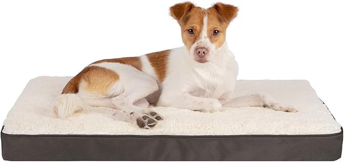 Best Pet Supplies Dog House Bed Crate Mat Tent Indoor Round Soft Plush for Small, Medium, and Large Breeds - Brown, 24 x 16 x 3