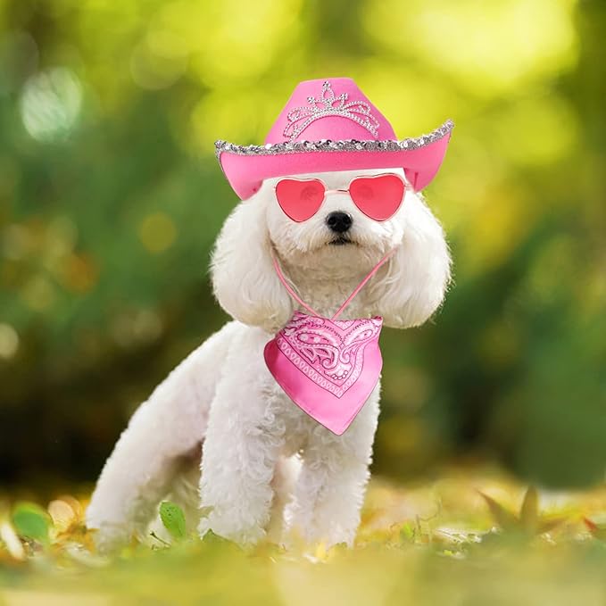 Yewong Pet Pink Cowboy Hat Costume Accessory Set Dog Cat Size Pink Cowgirl Princess Hat with Crown Tiara Bandana/Scarf Sunglasses for Cat Puppy Western Costume Daily Wearing Photo Props