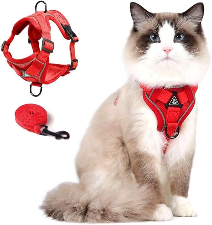 Cat Harness and Leash Set, Upgraded Escape Proof Adjustable Vest with Lead for Kitten Puppy Outdoor Walking, Soft Breathable Mesh Jacket with Reflective Strips for Dark Night (M, Fresh Red)