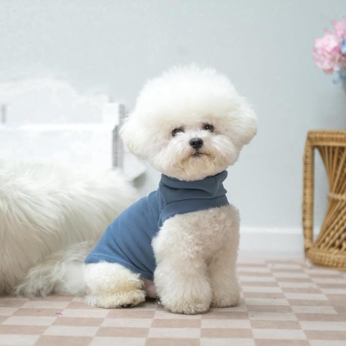 EXPAWLORER Soft Cat Sweater - Sweaters for Cats Only Warm Kitten Clothes, Fall and Winter Pet Coat Pullover Design, Fleece Sweatshirt Clothing Also for Puppy Small Dogs, Blue Large