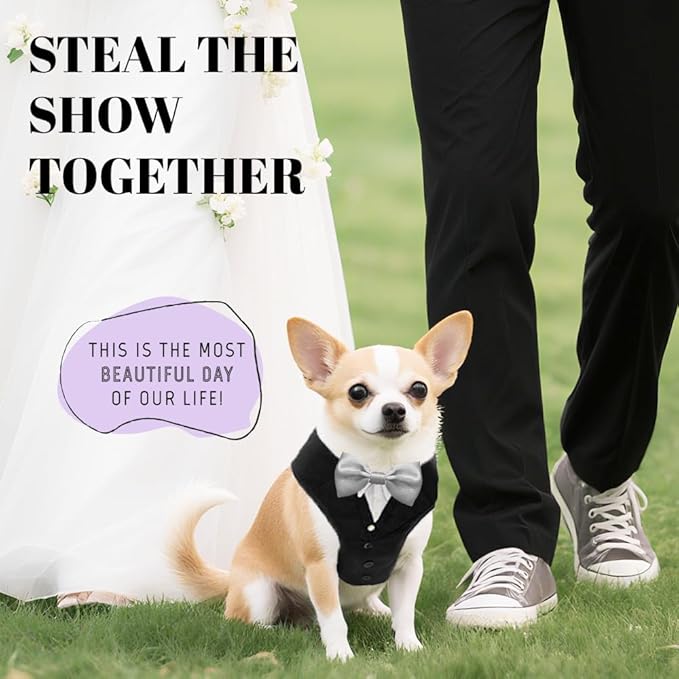 AVERYDAY XS Pet Tuxedo Harness, Wedding Costume Outfit for Small Dogs, Slim Cats and Tiny Pets with 8.3" Neck, 13-14.6" Chest, 8.5" Max Head Girth, Formal Suit Costume for Mini Breeds