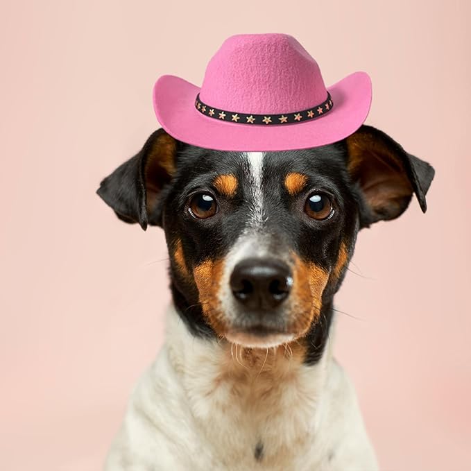 Dog Cowboy Hat Cat Cowboy Hat Pet Cowboy Costume Mini Cowboy Hat for Dogs Cat Holiday Halloween Pet Party Decoration (Pink, Large)