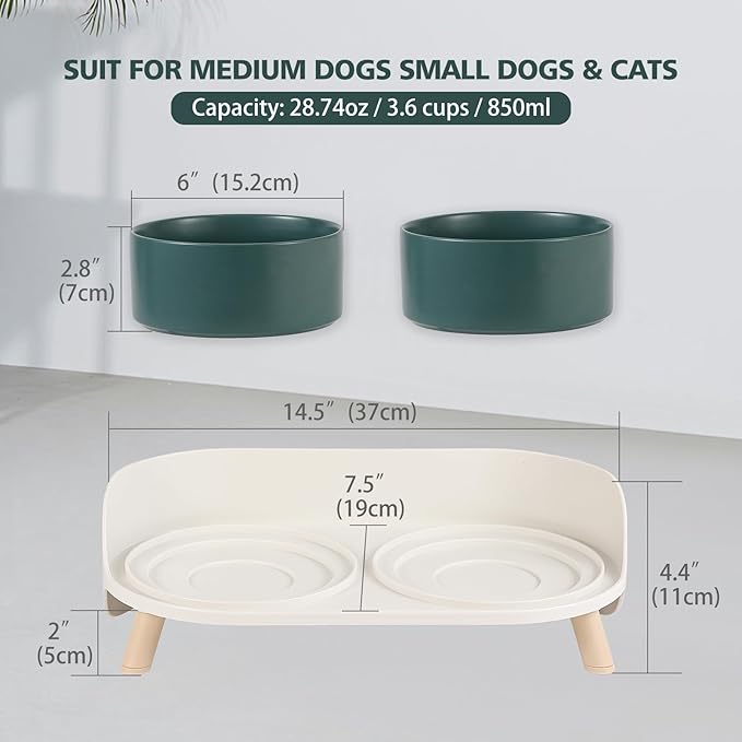 Elevated Ceramic Dog Bowl Set - Double Dog Feeding Bowls with Stand Splash Proof - Raised Dishes for Food and Water - Ideal for Small to Medium Dogs - 2 x 850 ml - 28.74 oz