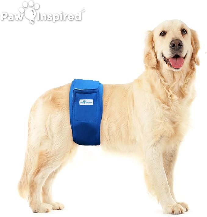 Paw Inspired 2-Count Reusable Male Dog Wraps, Washable Diapers for Male Dogs, Belly Bands for Incontinence, Surgery, Male Marking (XL Size, Assorted Colors with Black Lining, Pack of 2)