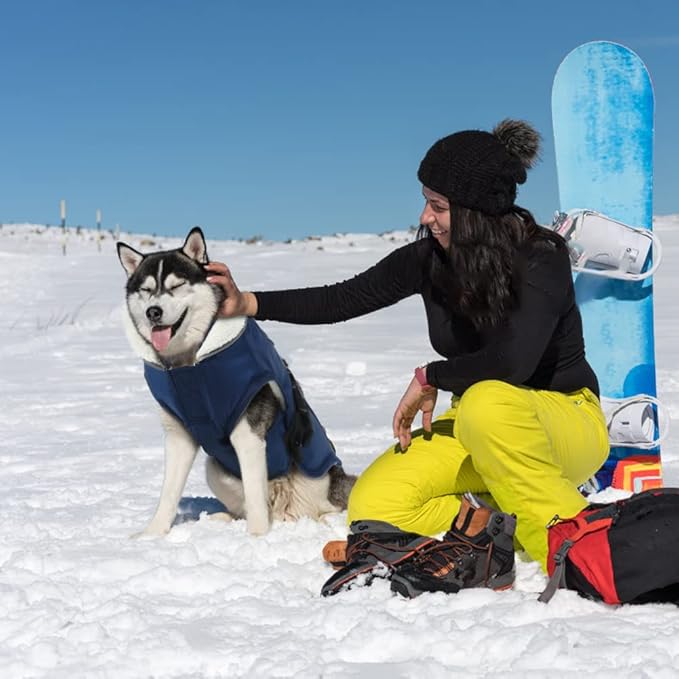 EMUST Winter Dog Jacket, Windproof Dog Apparel for Cold Weather, Reflective Coats for Dogs, Warm Puppy Jacket for Cold Winter, Blue S