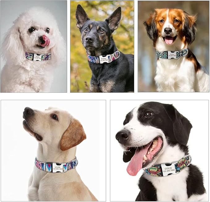 Moonpet Personalized Custom Customized Dog Collar with Engraved ID Tag Dog Name and Phone Number/Heavy Duty Adjustable Dog Collars for Puppy X-Small Small Medium Large X-Large Boy Girl Dogs