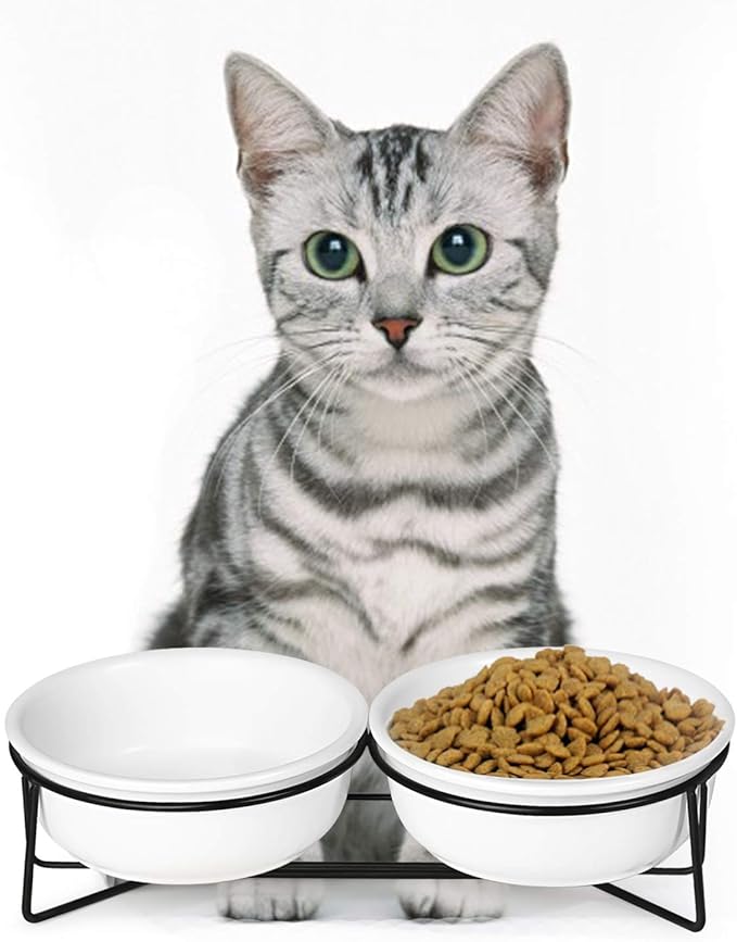 Double Ceramic Raised Cat Bowl with Metal Stand for Pet Food and Water Dishes,12 Ounces