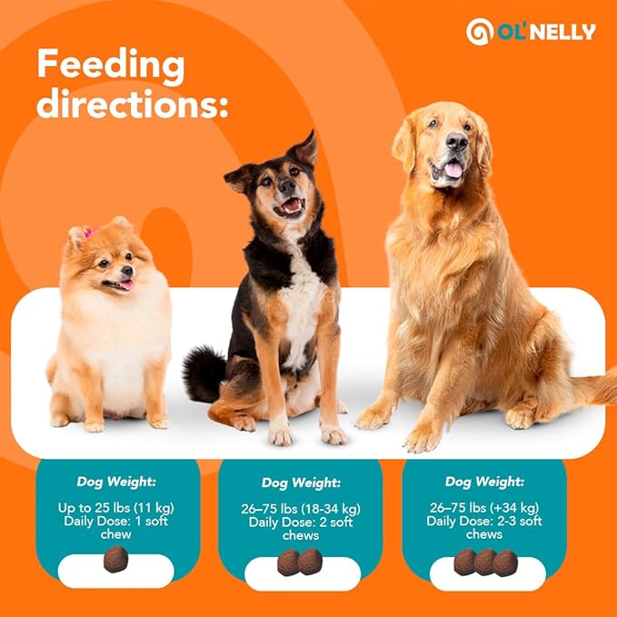 Ol'Nelly Pre & Probiotics for Dogs- 30 Soft Chews (Bacon) - Daily Dog Probiotics for Digestive & Gut Health - Diarrhea, Gas & Constipation Relief -All Ages and Breeds - Probioticos Perros Chewable