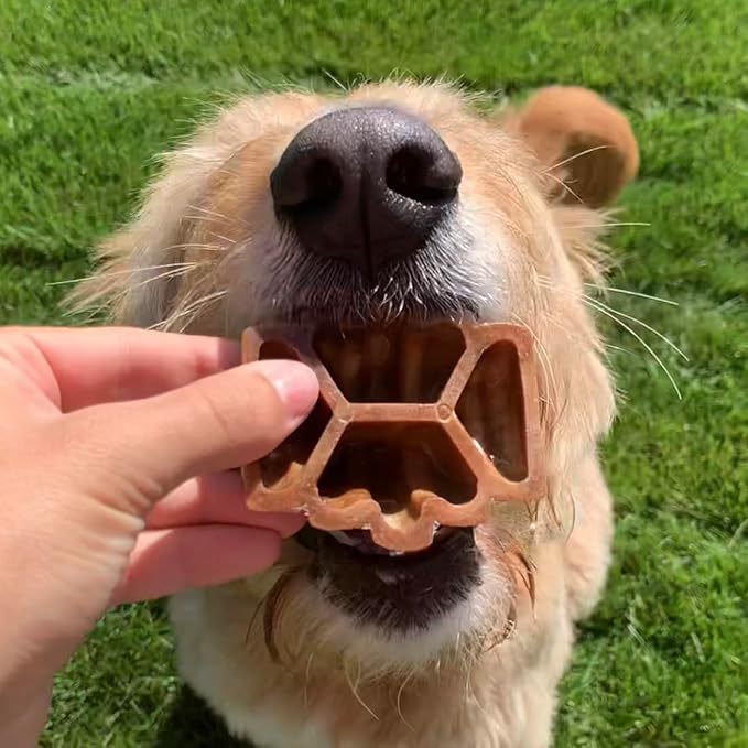 Hive Treats for Dogs Ñ Healthy, Non-GMO Project Verified, Natural Peanut Butter Flavored, Natural, Vegetarian Chews, Made in The USA (Hive Chews, Large Breeds)