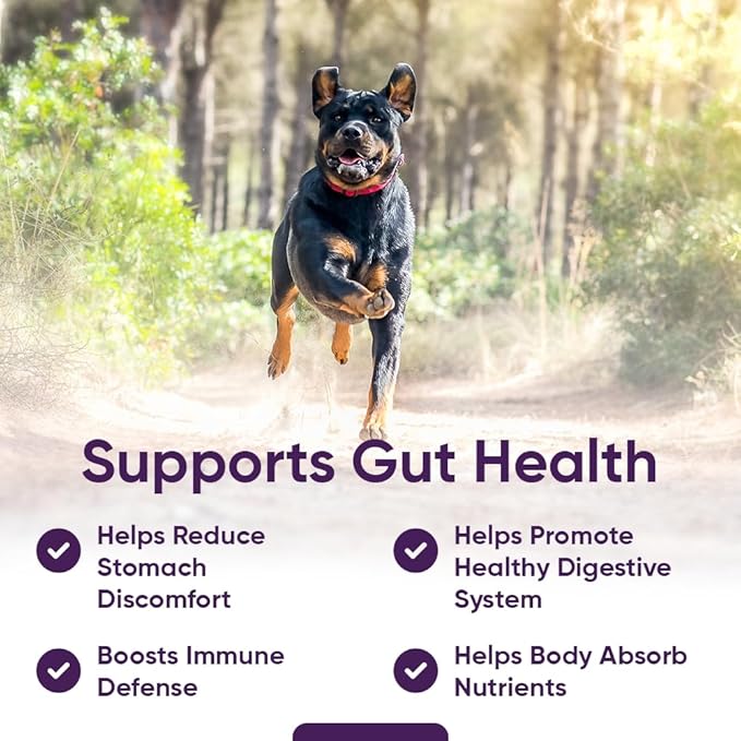 iHeartDogs 3-in-1 Probiotic for Dogs with Pumpkin for Improved Digestion & Gut Health - Dog Probiotics and Digestive Enzymes, 90 Count