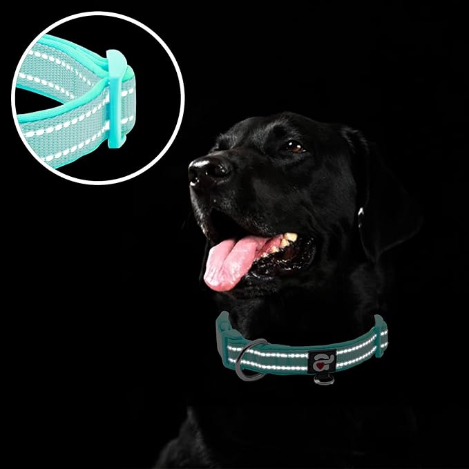 azuza Reflective Dog Collar, Soft Neoprene Padded Pet Collar with ID Tag Ring, Adjustable for Small Dogs,Teal,S