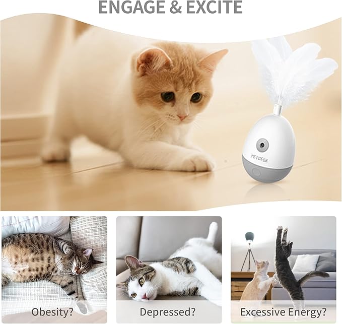 PETGEEK Interactive Cat Laser Pointer Toy with Bird Squeaky, Automatic Cat Wand Replacement, Cat Toys for Indoor Cats