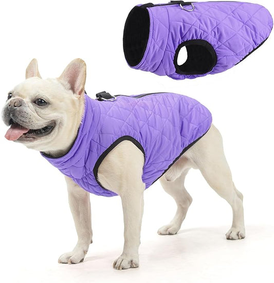 SCENEREAL Winter Coat for Dogs - Warm Jacket with Built-in Harness, Waterproof, Fleece Puffer Vest, Windproof, Snow Clothes for Small to Medium Dogs